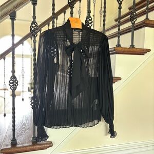 Elegant Black Sheer Blouse